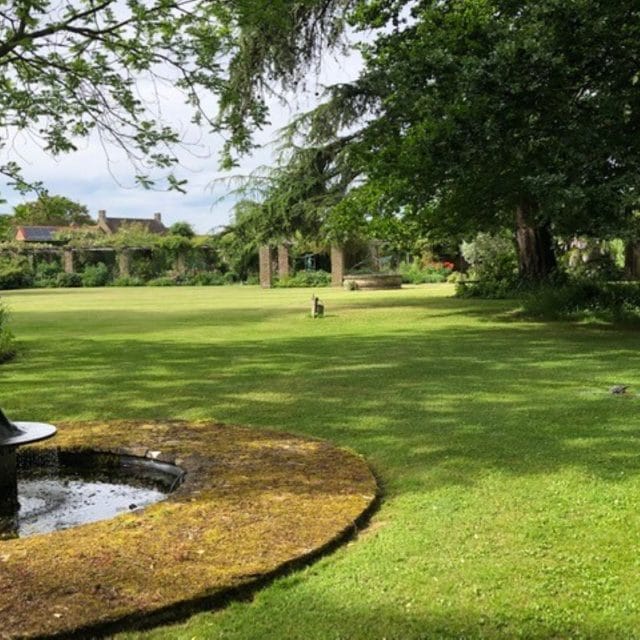 A garden with a pool and sweeping lawn