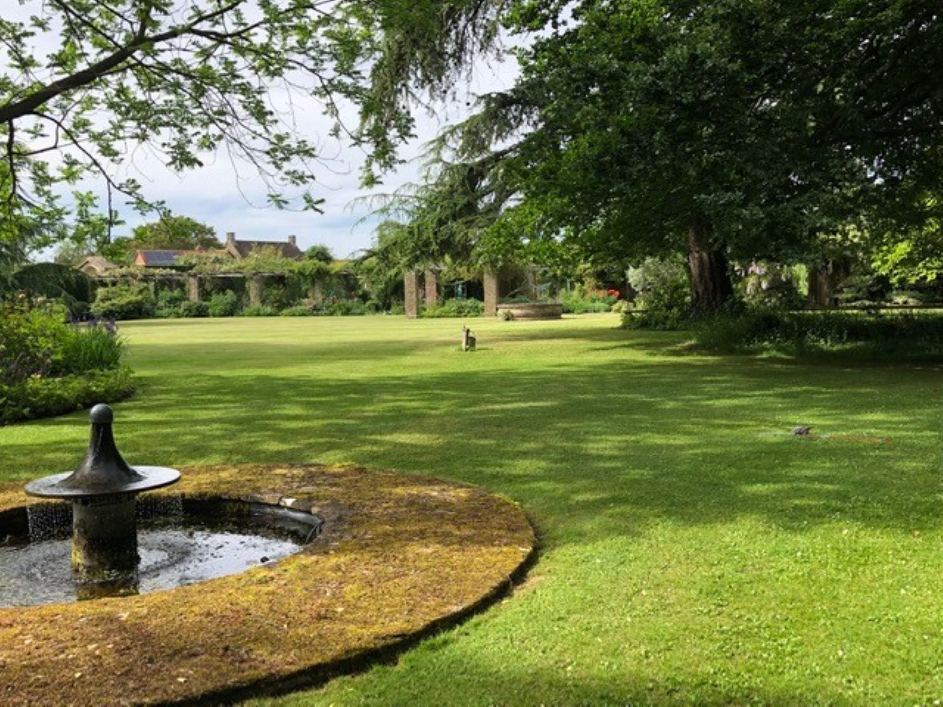 A garden with a pool and sweeping lawn